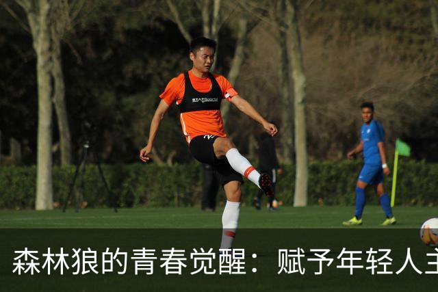 森林狼的青春觉醒：赋予年轻人主导权